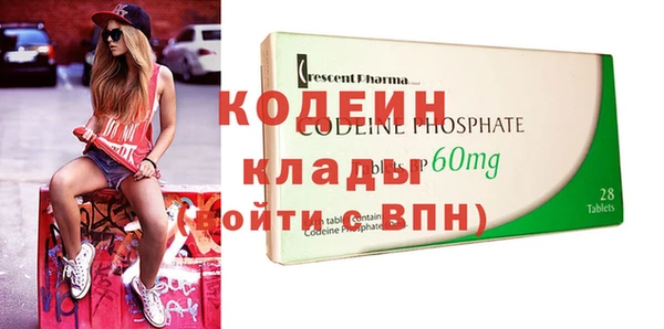 мдпв Бородино