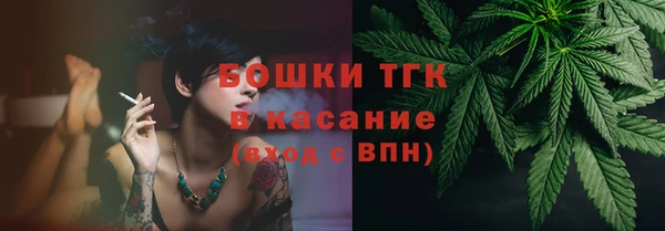 мдпв Бородино