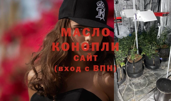 мдпв Бородино