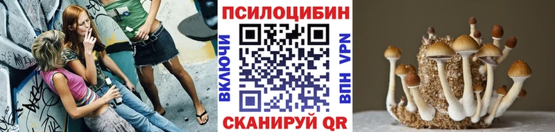 Галлюциногенные грибы мухоморы  Мещовск 